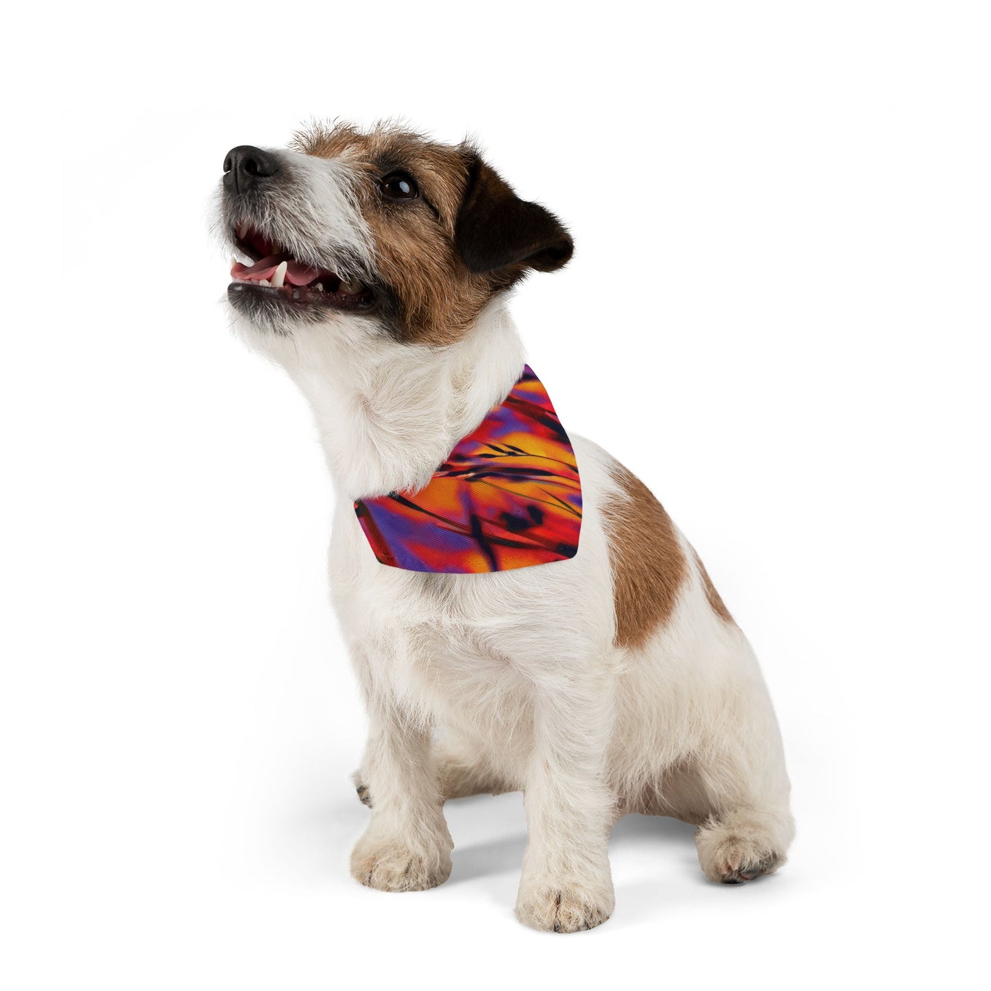 "Fire Dance" Pet Bandana Collar | Art by Brooke Lumbus